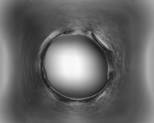 X0000086720197200704271617