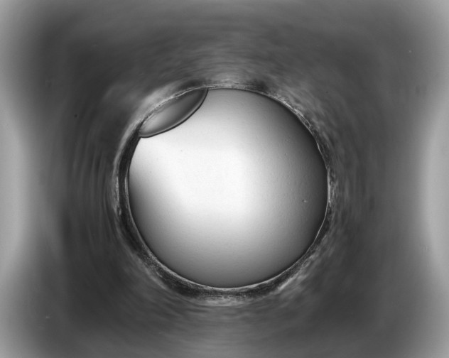 X0000086720198200704271617