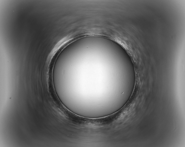 X0000086720199200704271617