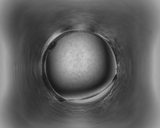 X0000086720200200704271617