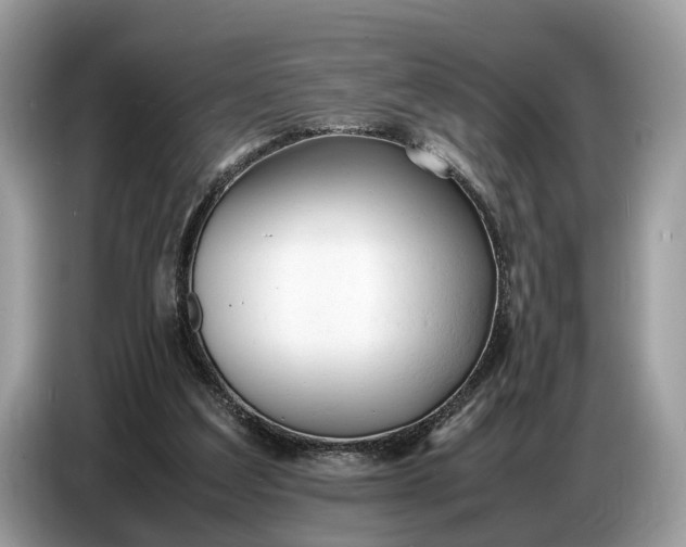 X0000086720203200704271617