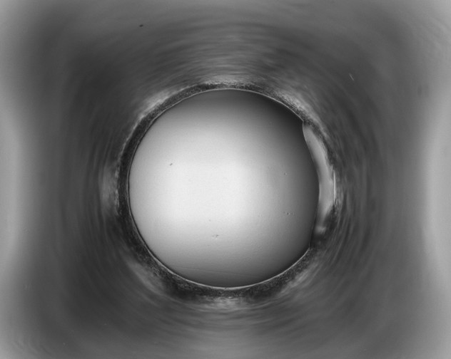 X0000086720204200704271617