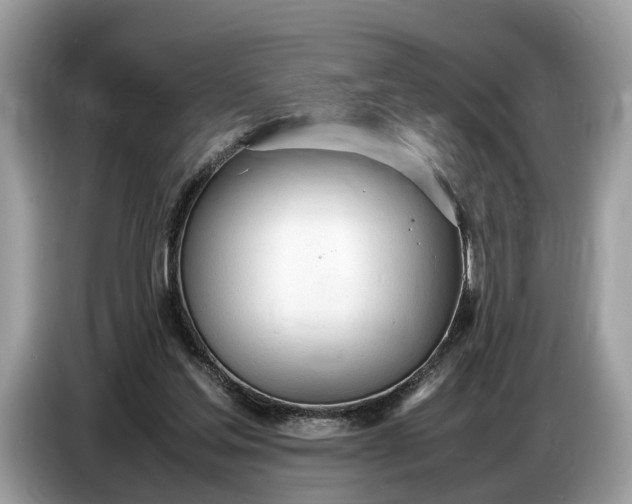 X0000086720205200704271617