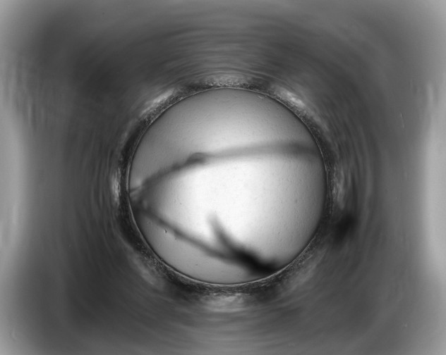 X0000086720206200704271617