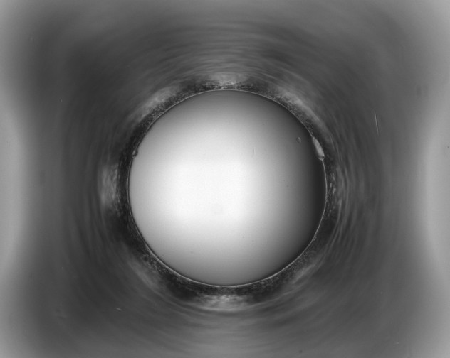 X0000086720212200704271617