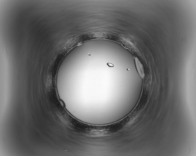 X0000086720213200704271617