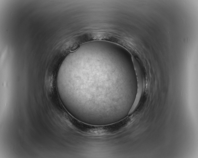 X0000086720219200704271617