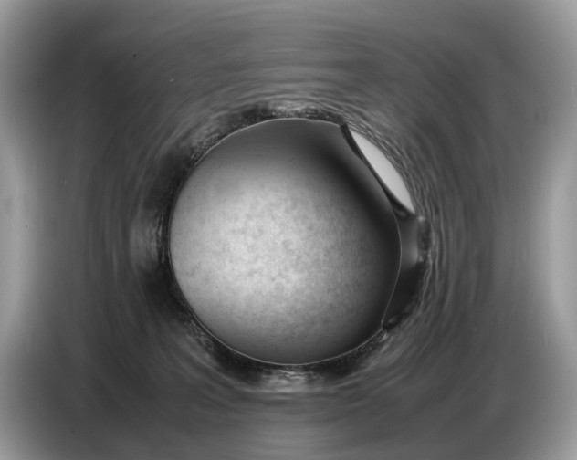 X0000086720227200704271617