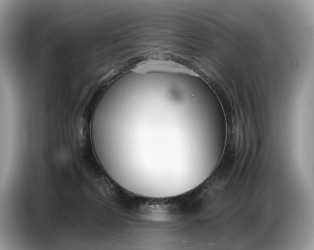 X0000086720228200704271617