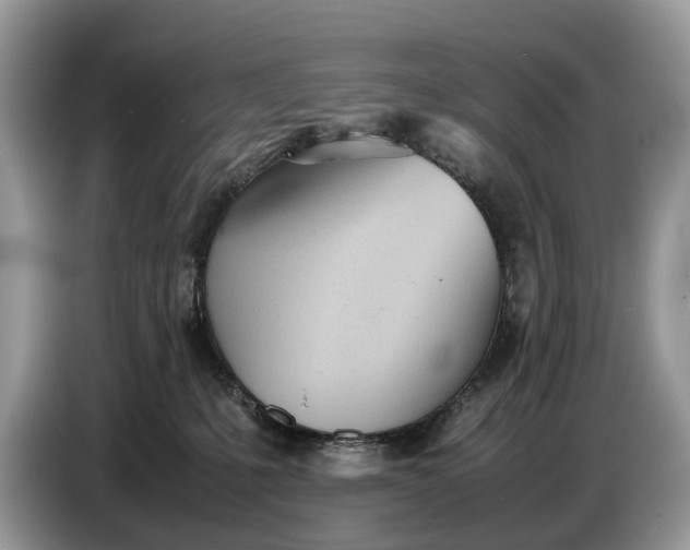 X0000086720231200704271617