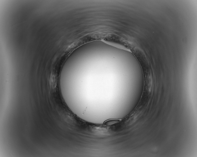 X0000086720232200704271617