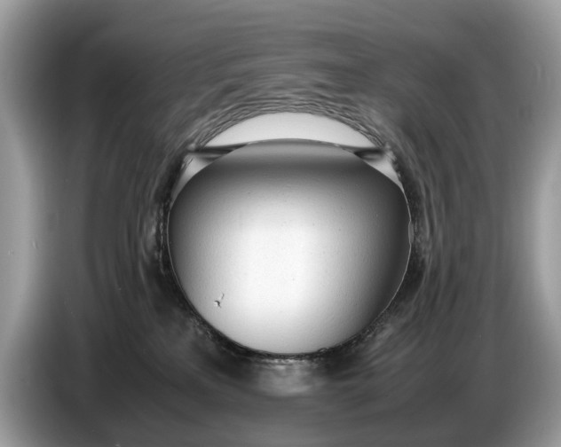 X0000086720233200704271617