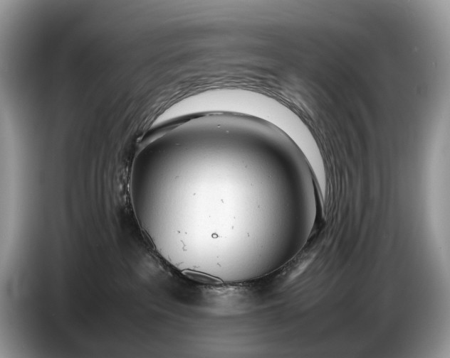 X0000086720237200704271617