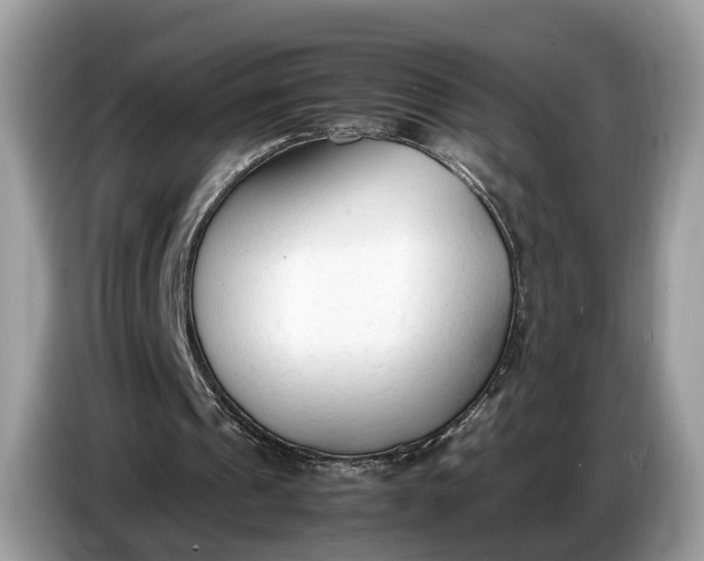 X0000086720241200704271616