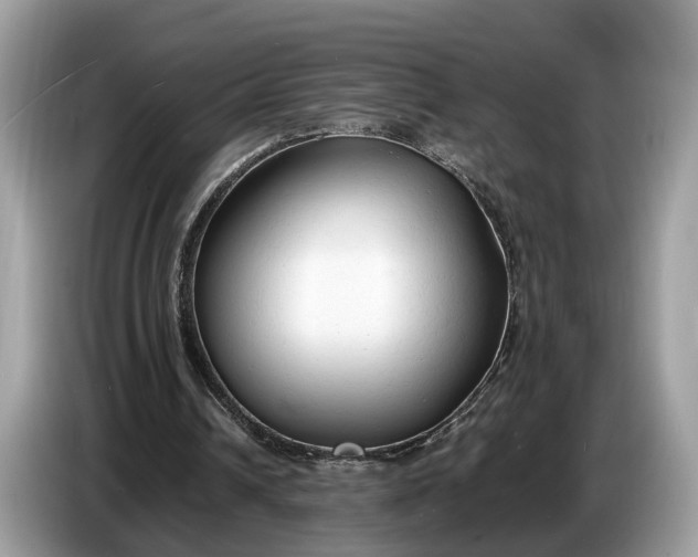 X0000086720242200704271616