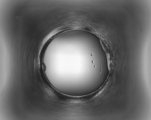 X0000086720246200704271616