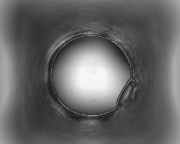 X0000086720247200704271616