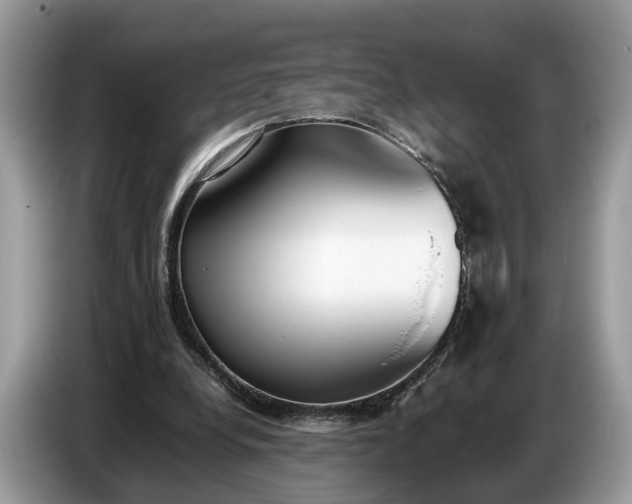X0000086720248200704271616