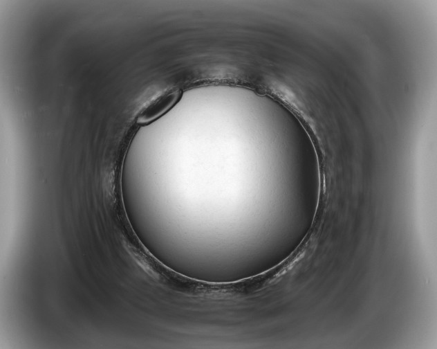X0000086720249200704271616