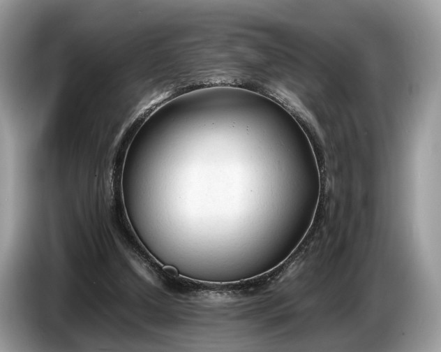 X0000086720250200704271616