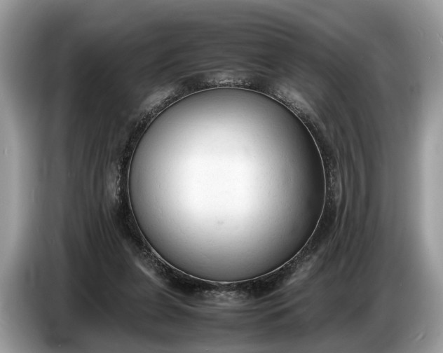 X0000086720255200704271616