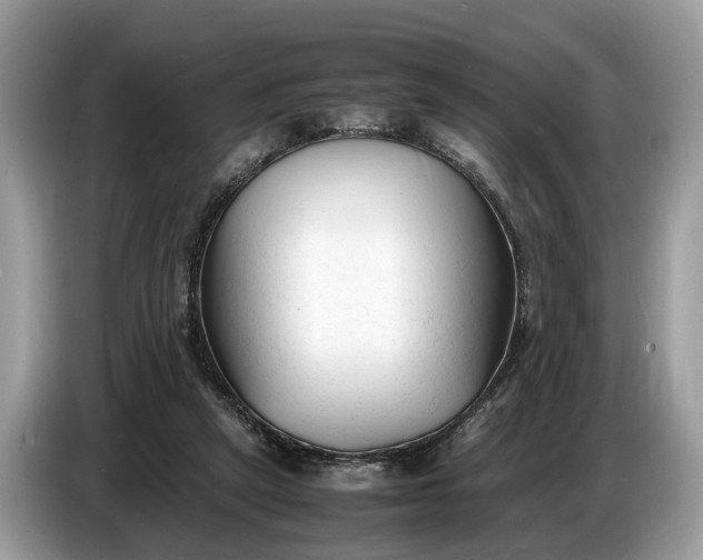 X0000086720257200704271616