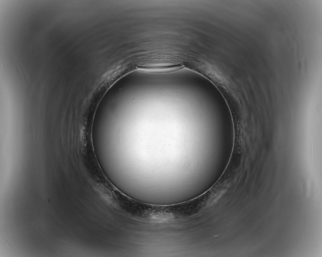 X0000086720258200704271616