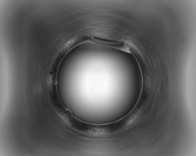 X0000086720260200704271616