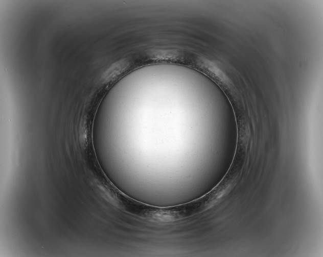 X0000086720261200704271616