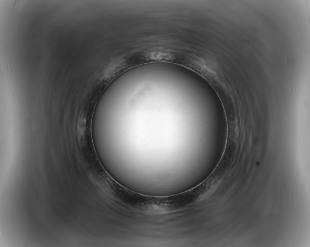 X0000086720263200704271616