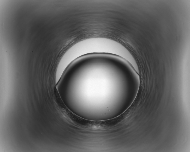 X0000086720264200704271616