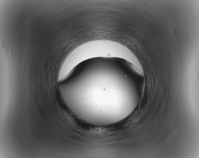 X0000086720276200704271616