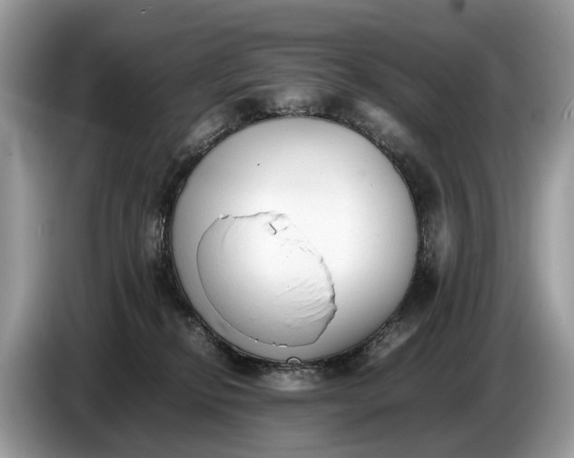 X0000086720278200704271616