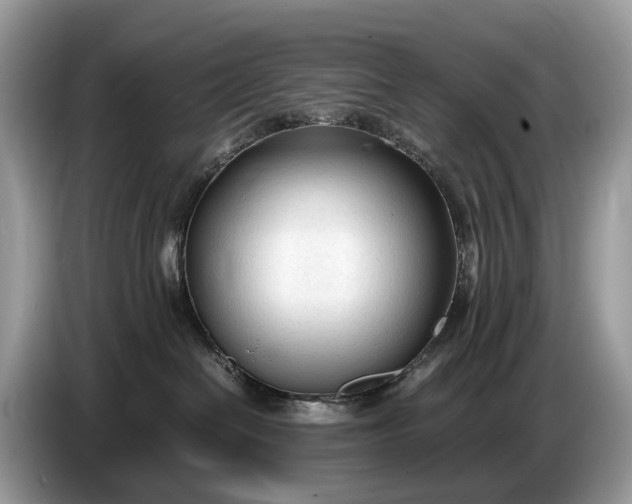 X0000086720286200704271617