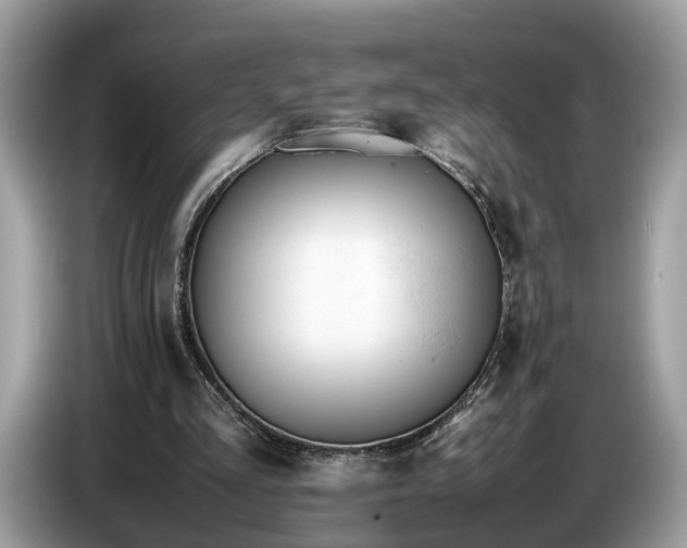 X0000086720293200704271616