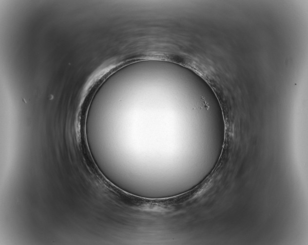 X0000086720294200704271616