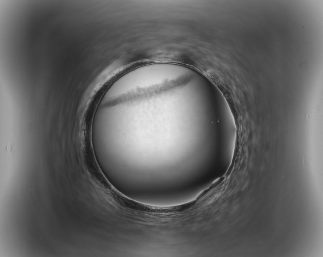 X0000086720295200704271616