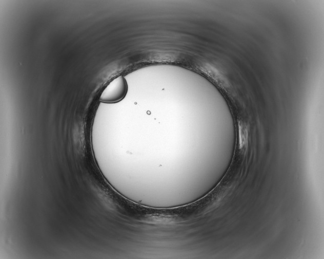 X0000086720300200704271616