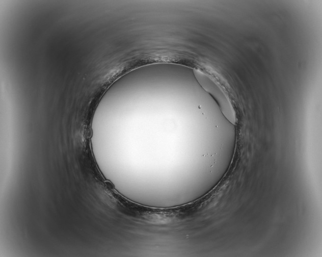 X0000086720305200704271616