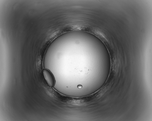 X0000086720314200704271616