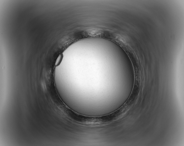 X0000086720319200704271616