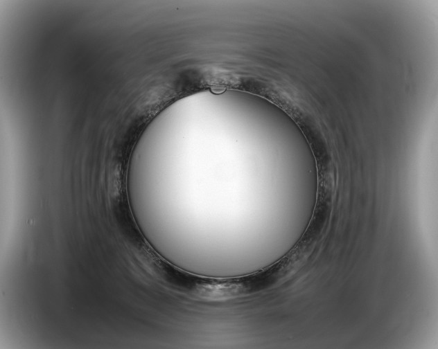 X0000086720323200704271616