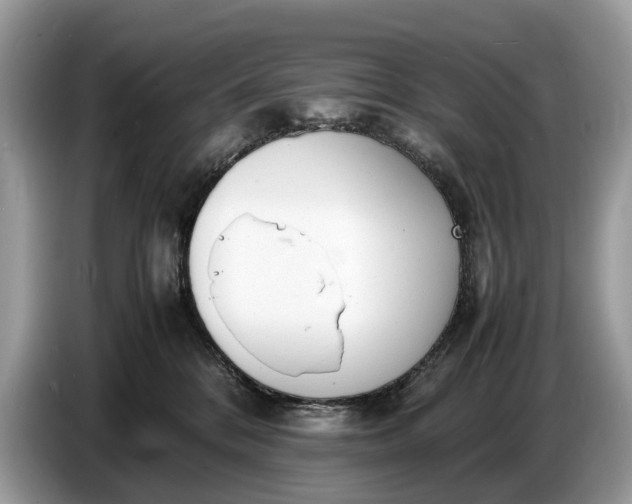 X0000086720328200704271615