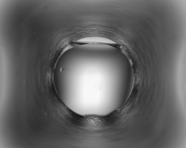 X0000086720333200704271615