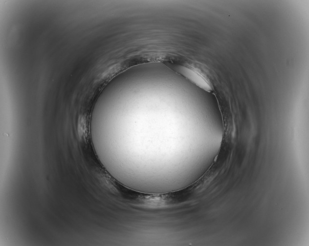 X0000086720335200704271615