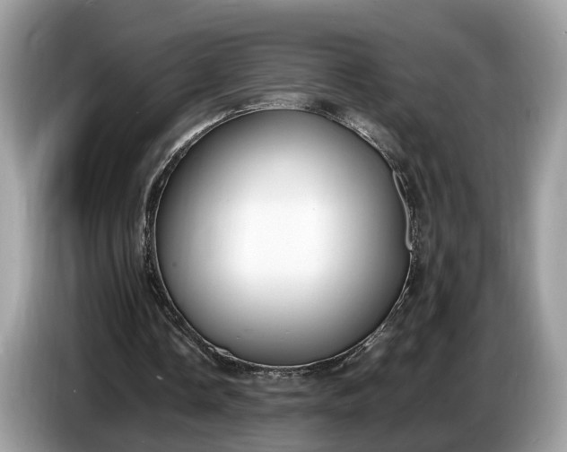 X0000086720338200704271615