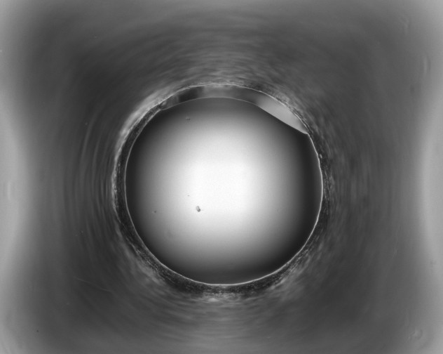 X0000086720340200704271615