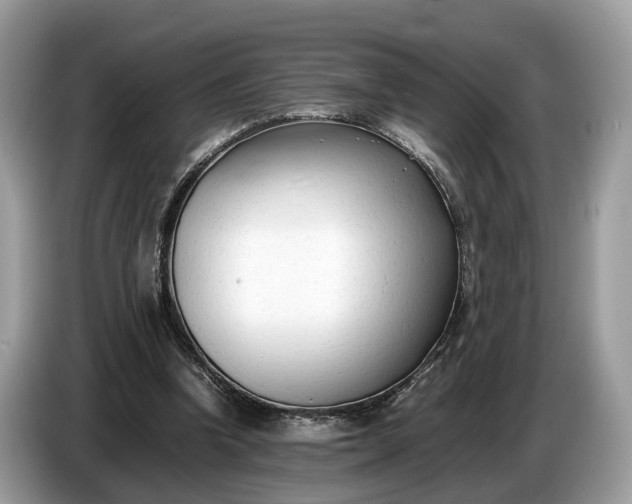 X0000086720346200704271615