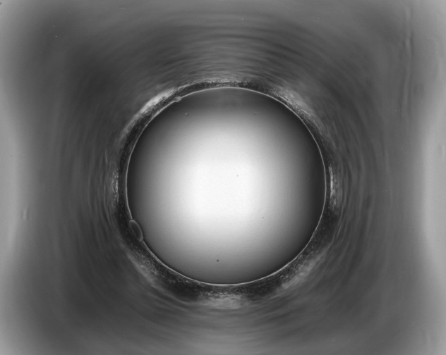 X0000086720348200704271615