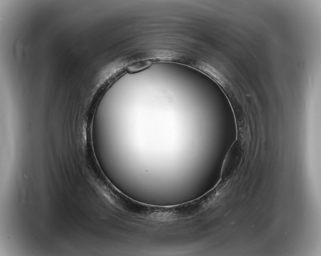 X0000086720350200704271615
